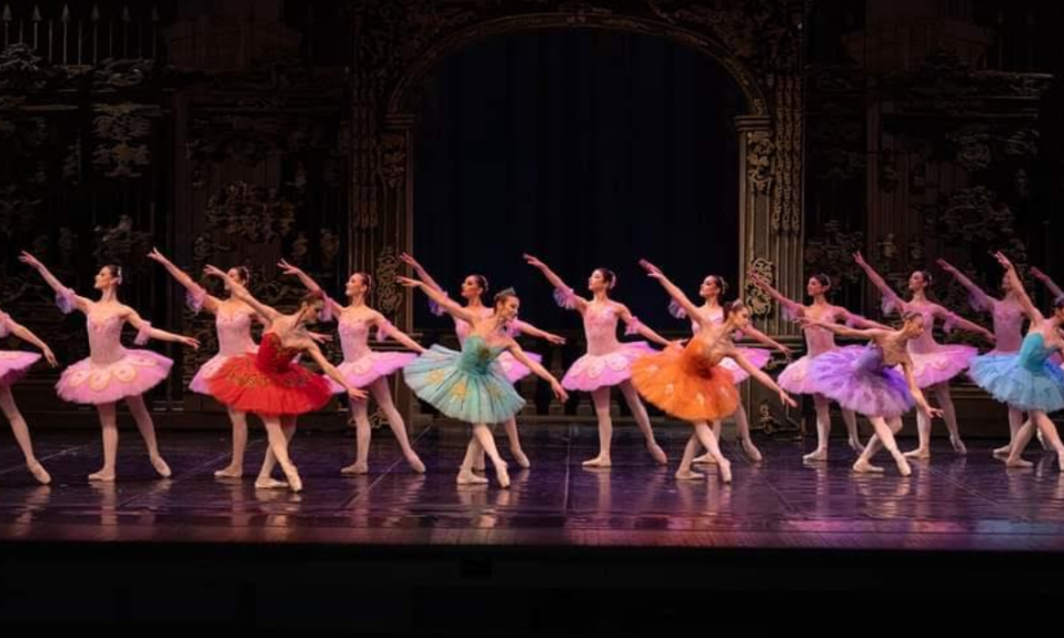 На 26 јули во МОБ: Гала концерт со најпопуларните балетски дела